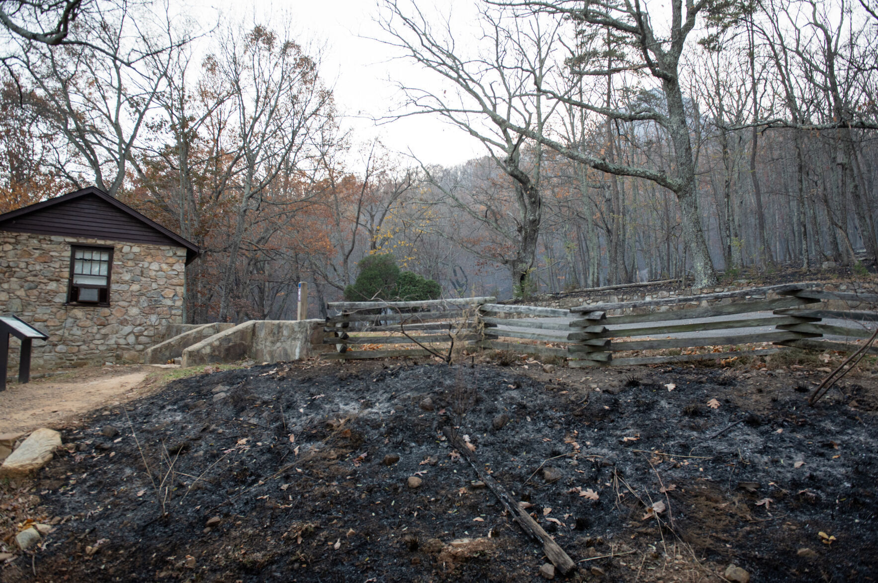 Pilot Mountain Fire Damage